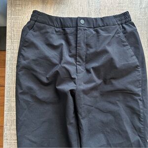 Uniqlo Insulated Pants